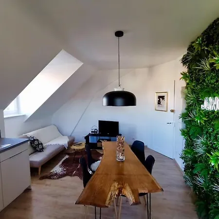 Ferienwohnung Evasion Jungle - Wifi & Netflix ! Mülhausen Exterior foto