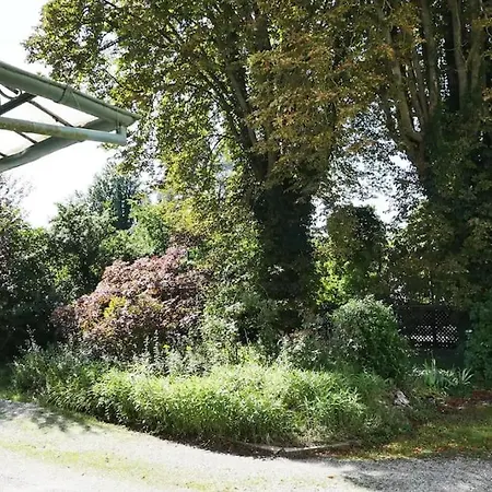 Ferienwohnung Evasion Jungle - Wifi & Netflix ! Mülhausen Exterior foto