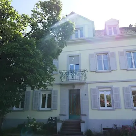Ferienwohnung Evasion Jungle - Wifi & Netflix ! Mülhausen Exterior foto