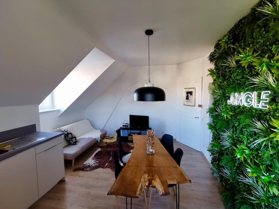 Apartment Evasion Jungle - Wifi & Netflix !